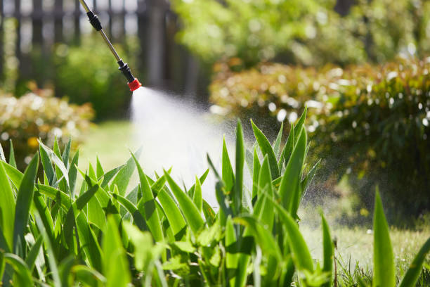 24/7 Emergency Ant Control experts in New Castle, PA