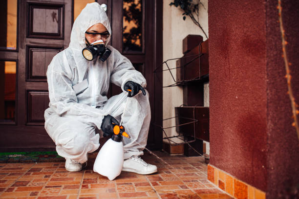 Reliable Ant Control contractor in New Castle, PA by Nex Pest Control
